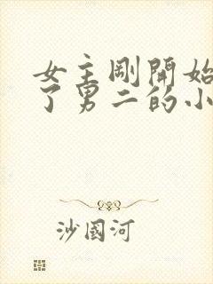 女主刚开始嫁给了男二的小说