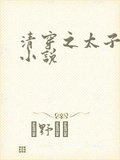 清穿之太子娇妃小说