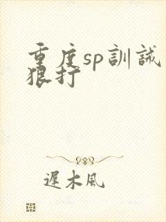重度sp训诫文狠打