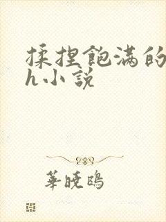 揉捏饱满的双乳h小说