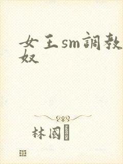 女王sm调教男奴封面