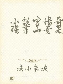 小说官场奇才最强靠山竟是我自己李澜在线