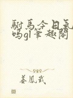 驸马今日气消了吗gl笔趣阁