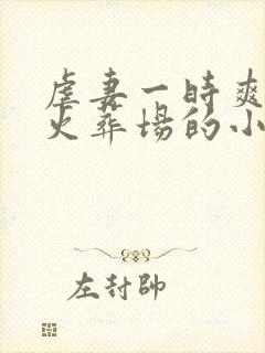 虐妻一时爽追妻火葬场的小说现言