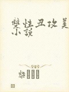 双性丑攻美人受小说