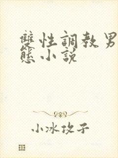 双性调教男奴变态小说