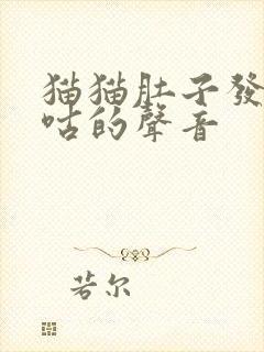 猫猫肚子发出咕咕的声音