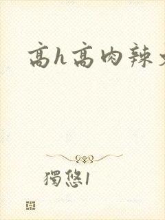 高h高肉辣文