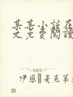 某某小说在线全文免费阅读