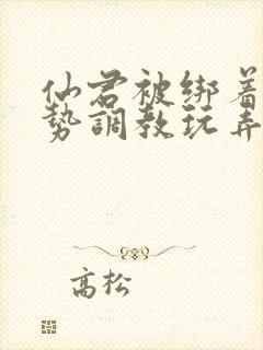 仙君被绑着用玉势调教玩弄