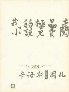 我的极品老婆们小说免费阅读封面