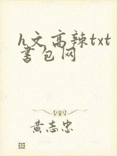 h文高辣txt书包网