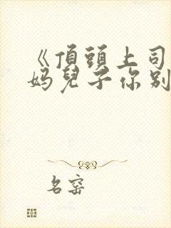 《顶头上司变后妈儿子你别懵》