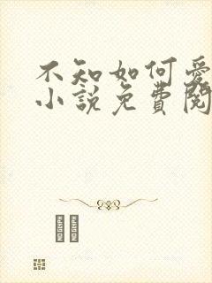 不知如何爱你时小说免费阅读