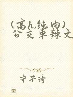 (高h,纯肉)公交车辣文小说封面