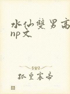 水仙双男高h肉np文