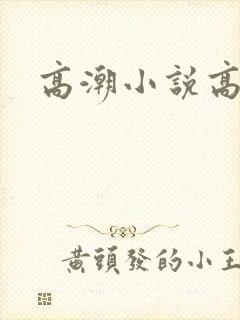 高潮小说高h