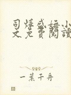 司烨盛妩小说全文免费阅读