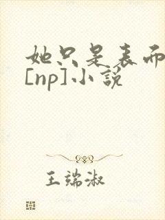 她只是表面清纯[np]小说