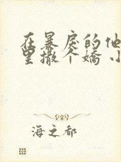 在暴戾的他的怀里撒个娇 小说封面