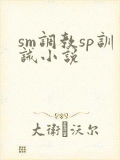 sm调教sp训诫小说