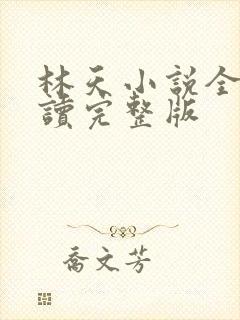 林天小说全文阅读完整版