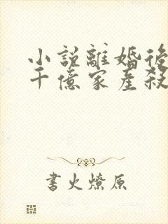 小说离婚后我带千亿家产杀回来了txt下载