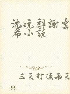 沈晚梨谢云迟叶希小说