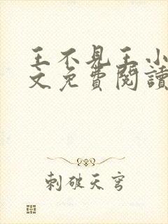 王不见王小说全文免费阅读