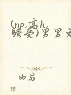 (np,高h,骚受)男男文