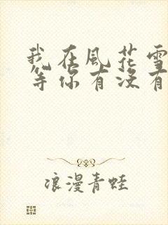 我在风花雪月里等你有没有续集