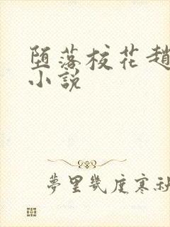 堕落校花赵诗宁小说