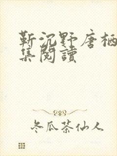靳沉野唐栖雾全集阅读封面