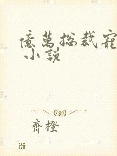 亿万总裁宠上天 小说