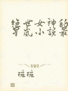 绝世女神的堕落星岚小说最新章节更