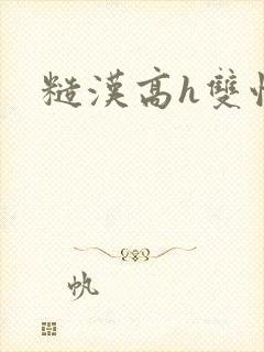 糙汉高h双性封面