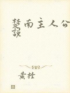 楚南主人公的小说