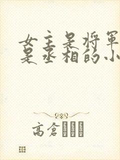 女主是将军男主是丞相的小说封面