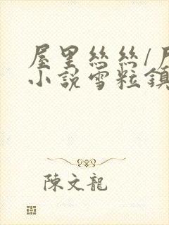 屋里丝丝/尸姐小说雪粒镇封面