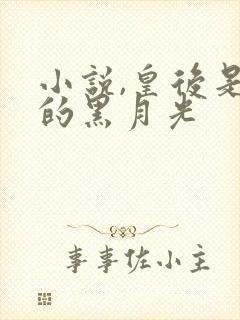 小说,皇后是朕的黑月光