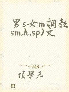 男s女m调教(sm,h,sp)文