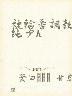 被轮番调教的清纯少h