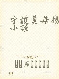 守护美母杨凡的小说