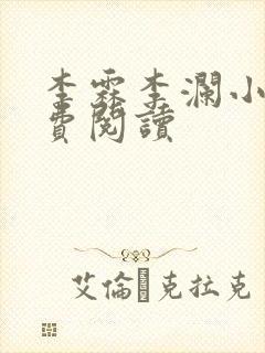 李霖李澜小说免费阅读