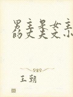 男主是女主姐姐的丈夫文小说