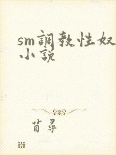 sm调教性奴隶小说封面