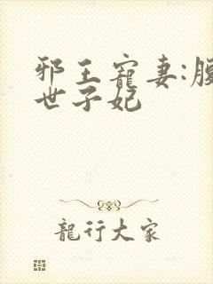 邪王宠妻:腹黑世子妃