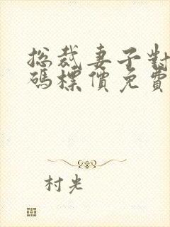 总裁妻子对我明码标价免费阅读封面