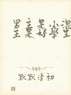 男主是小混混女主是好学生的小说