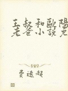 王叔和欧阳局长老爸小说免费阅读